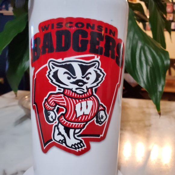 Wisconsin Badgers Bucky Badger 32oz Hydro Handle Bottle Tumbler 💜sale - Picture 7 of 9